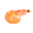 gamba