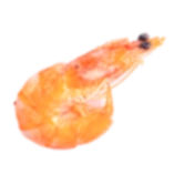langostino